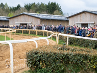 BP140425-36 - Ben Pauling Stable Visit